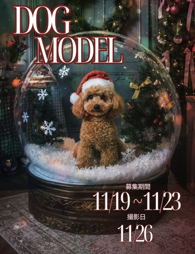 🐕わんちゃんモデル募集のお知らせ🐕✨