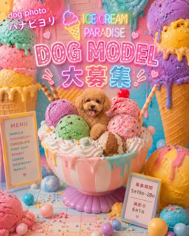 Instagramにてわんちゃんモデル募集のお知らせ🐕✨